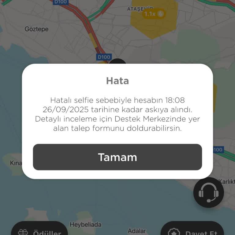 Üyelik Sonrası Giriş Sorunu Ve Destek Eksikliği Nedeniyle Hizmetten Yararlanamama