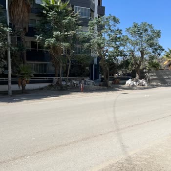 Zenginler Mahallesi’nde Çöpler Toplanmıyor, Sokak Toz İçinde Kaldı