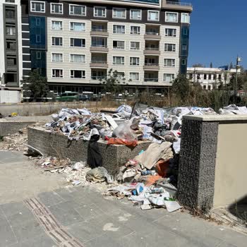 Zenginler Mahallesi’nde Çöpler Toplanmıyor, Sokak Toz İçinde Kaldı