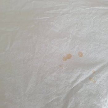 Profilo Çamaşır Makinesi Çamaşırlarda Pas Lekesi Bırakıyor Çözüm Bekliyorum