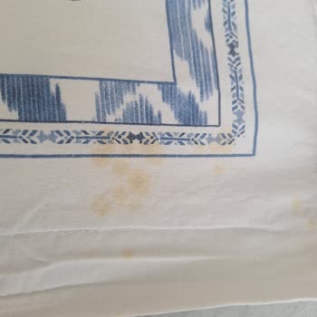 Profilo Çamaşır Makinesi Çamaşırlarda Pas Lekesi Bırakıyor Çözüm Bekliyorum