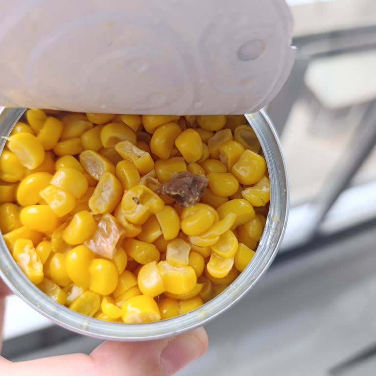 Konserve Mısırdan Sinek Ve Çürük Çıktı, Ücret İadesi Talebim Var