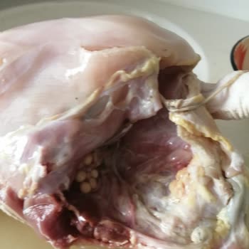 Tavuk Ürününün Temizlenmeden Paketlenmesi Ve Hijyen Sorunu