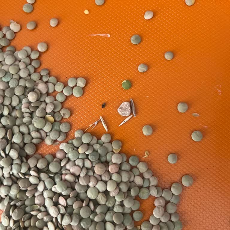 Duru Bulgur Yerli Yeşil Mercimek Şikayeti