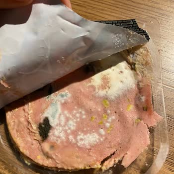 Son Tüketim Tarihi Geçmemiş Salamda Yoğun Küf Şoku