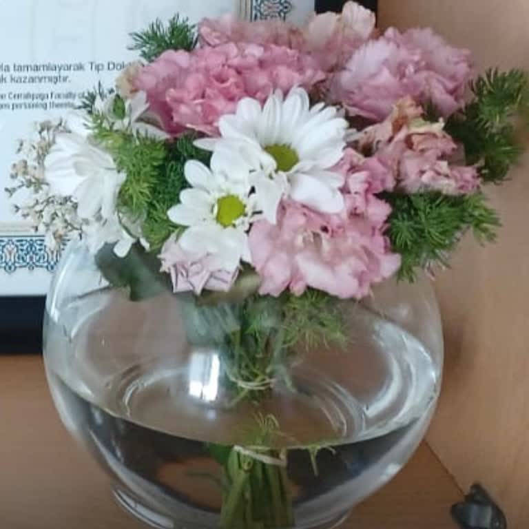 Siparişim Eksik Ve Yanlış Teslim Edildi, Sorunum Çözülmedi