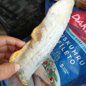 Dardanel Uskumru Filetoda Kötü Koku Ve Kılçık Sorunu Yaşadım