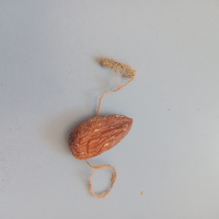 Kuruyemiş Paketinden Çıkan Kirli İp Ve Bozuk Ürünler Mağduriyet Yarattı