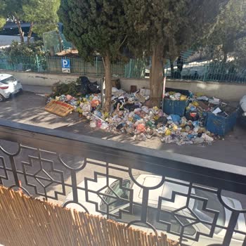 Mahallede Çöp Toplama Sorunu ve Oluşan Olumsuz Etkiler