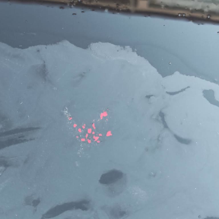 Opel Aracımda 3 Yılda Tavan Boyası Problemi Ve Çözüm Sunulmaması