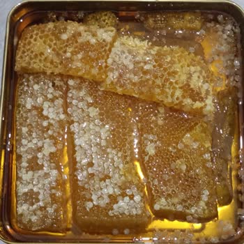 Dedem Köy Yumurtası Karakovan Balı Siparişi Verdim Farklı Bal Gönderildi!