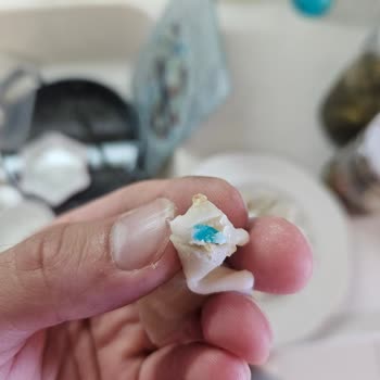 Superfresh Ev Mantısı'ndan Mavi Plastik Parçası Çıktı