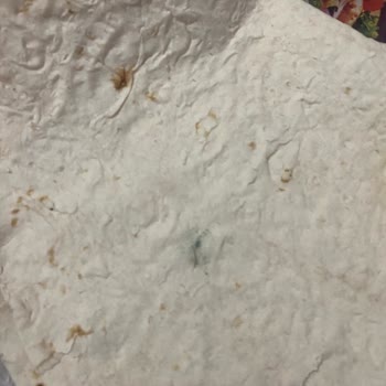 Tarihi Geçmemiş Ekmeğin Küflü Çıkması Hayal Kırıklığı Yarattı