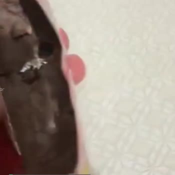 Eti Petito Son Kullanma Tarihi Geçmeden Bozulmuş
