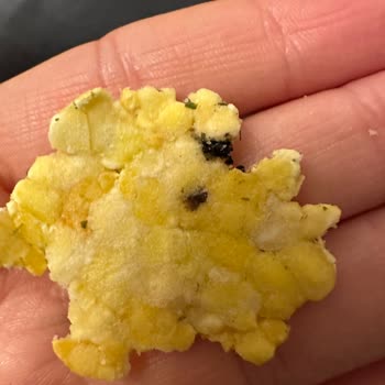 Eti Gong Baharat Çeşnili Ürününde Yabancı Maddeyle Karşılaşmak Şok Edici Bir Deneyim