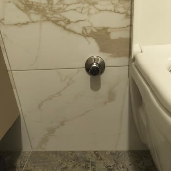 Schell Ankastre Taharet Musluğu Sürekli Olarak Su Sızdırıyor!