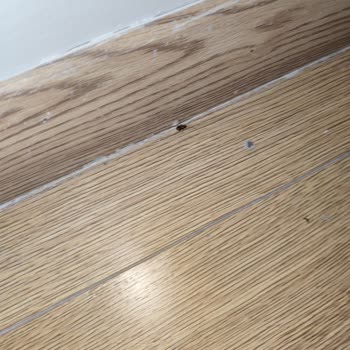 Özyurtlar İnşaat Yüksek Aidata Rağmen Böcek Sorunu ve Yetersiz Hijyen Önlemleri