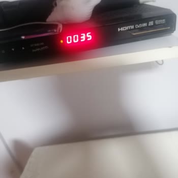 Digiturk Spor Paketi'nde Birçok Kanal Eksik Ve Sorun Çözülmüyor