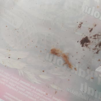 Çikolata Paketinden Poşet Eldiven Çıkması Ve Hayal Kırıklığı