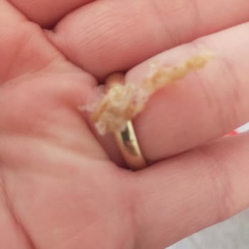 Çikolata Paketinden Poşet Eldiven Çıkması Ve Hayal Kırıklığı