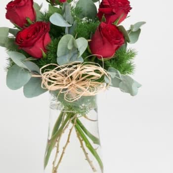 Siparişimde Yanlış Ve Kalitesiz Ürün Teslimatı Tekrarlandı, İade Talep Ediyorum