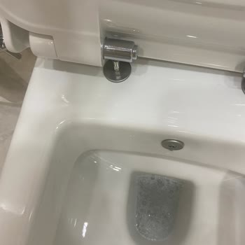 Seramiksan Luna Silva Tuvalet Kapağı Kısa Sürede Kırıldı Garanti Belgesi Yok