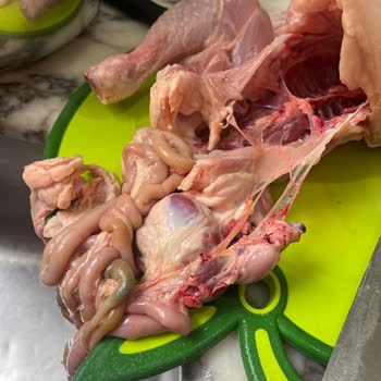 BİM Tazem Marka Tavuk Şikayeti