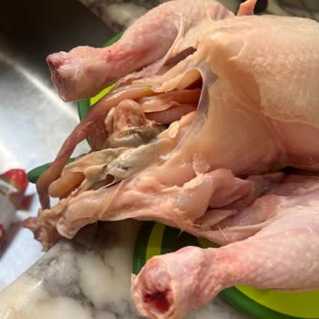 BİM Tazem Marka Tavuk Şikayeti