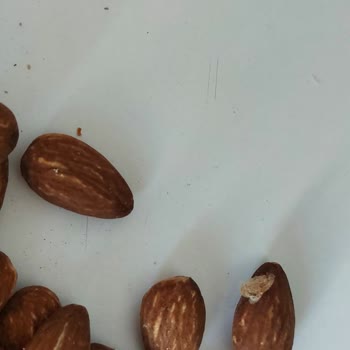 Çitlekçi Aldığım Kuruyemişlerde Kelebek Ve Bozulma Çıktı Müşteri Hizmetleri İlgisiz Kaldı!