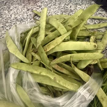 Migros Sanal Market'ten Taze Olmayan Ürünler Ve Yetersiz Müşteri Hizmeti