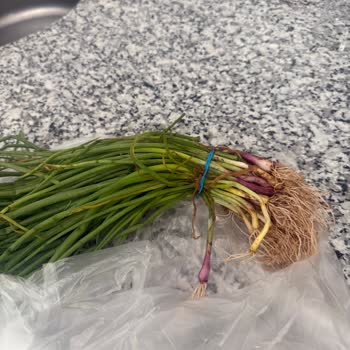 Migros Sanal Market'ten Taze Olmayan Ürünler Ve Yetersiz Müşteri Hizmeti