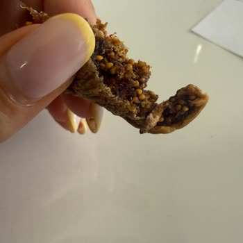 Küflü Ve Kurtlu İncir Sağlığımı Riske Attı, Acil Çözüm Bekliyorum