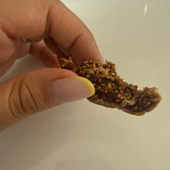 Küflü Ve Kurtlu İncir Sağlığımı Riske Attı, Acil Çözüm Bekliyorum