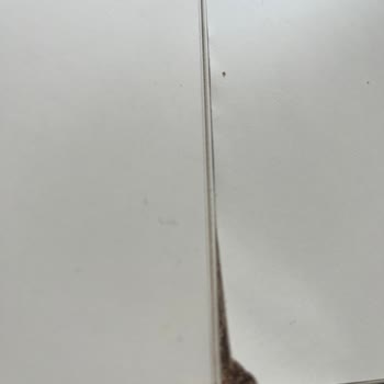 Bellona'dan Alınan Yemek Masasının Kısa Sürede Deforme Olması Ve Garanti Sorunu