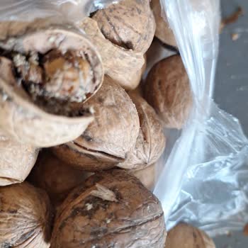 Aldığım Cevizlerden Kurt Çıktı, Migros Sorunumu Çözmedi