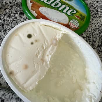 Son Kullanma Tarihi Geçmemiş Labne Küflendi