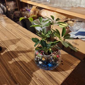 Yanlış Ve Kalitesiz Ürün Teslimatı Sonrası Yetersiz Çözüm Süreci