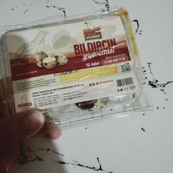 Aldığım Bıldırcın Yumurtalarının Tamamı Bozuk Çıktı