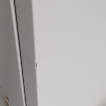 Ezilmiş Ve Boyası Dökülmüş Dolap İçin Ücret İadesi Yapılmadı