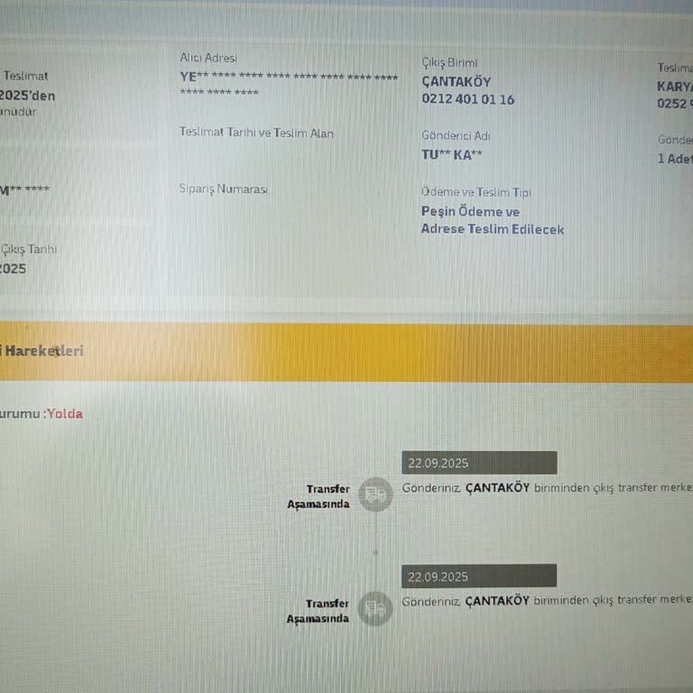 Kargom Şubede Unutuldu, Gönderimim Gecikti