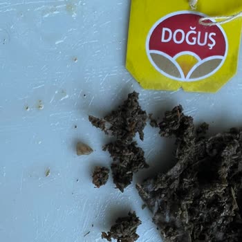 Yeşil Çay Paketinde Yabancı Madde Sorunu