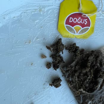Yeşil Çay Paketinde Yabancı Madde Sorunu