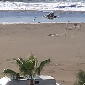 Denizkızı Plajındaki Çöp Sorununa Geç Müdahale