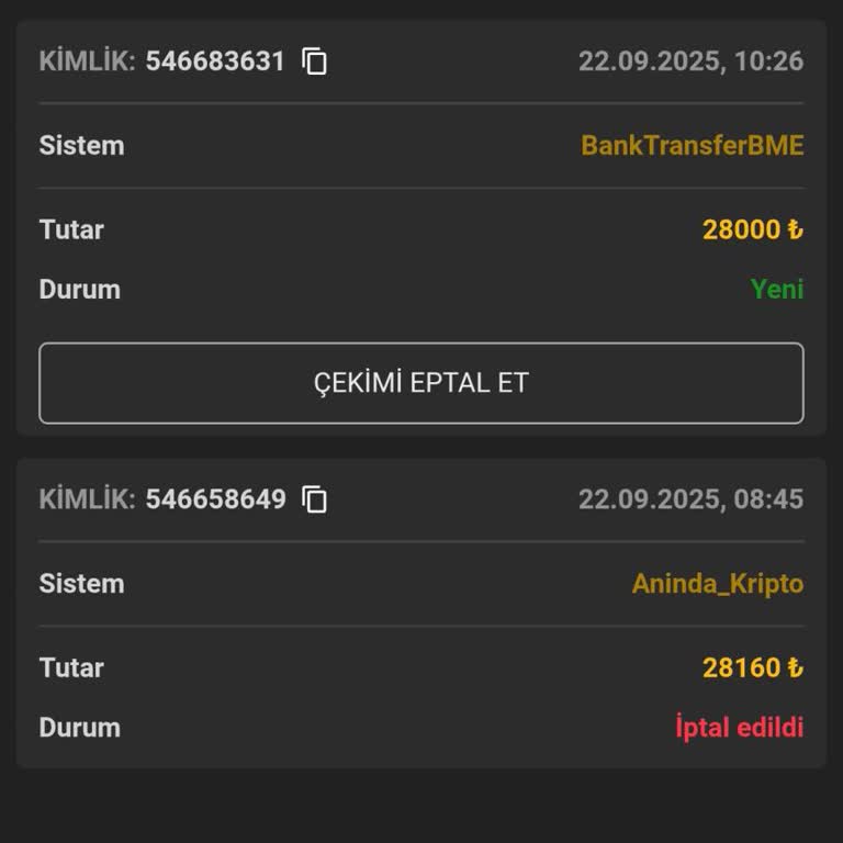 Ritimbet'te Yatırım Sonrası Çekim Talebim Karşılanmadı, Mağdur Edildim