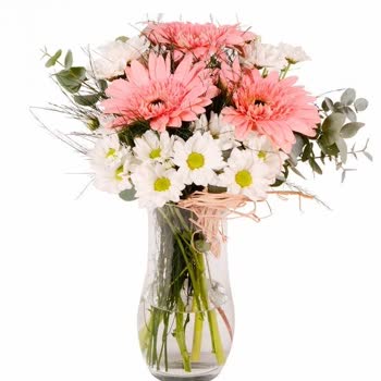 Yanıltıcı Ürün Satışı Ve Ücret İadesi Sorunu