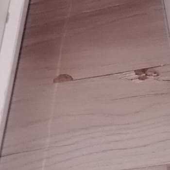 Yeni Uygulanan Parke İlk Günde Kırıldı Firma Kullanıcı Hatası Dedi