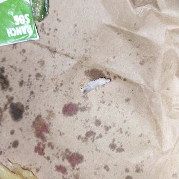 Burger King Siparişimde Eksik Ve Kalitesiz Ürünler İle İade Reddi Hayal Kırıklığı