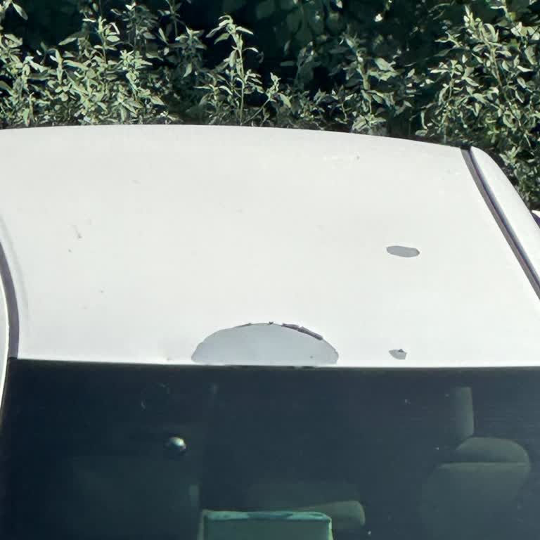 Toyota Corolla Boya Sorunu Kronikleşti Çözüm Bulunmuyor