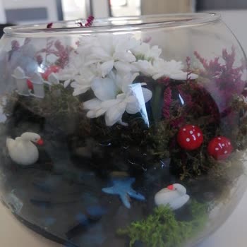 Görselden Farklı Ve Eksik Teslim Edilen Teraryum Ürünü Nedeniyle Mağduriyet