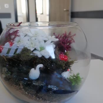 Görselden Farklı Ve Eksik Teslim Edilen Teraryum Ürünü Nedeniyle Mağduriyet